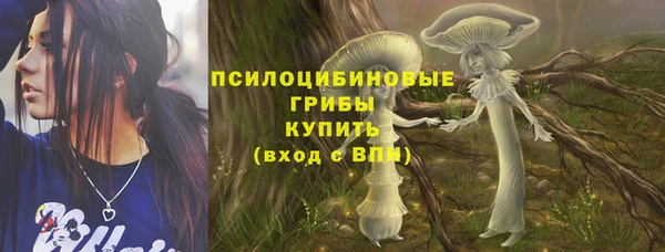 шишки Алексин