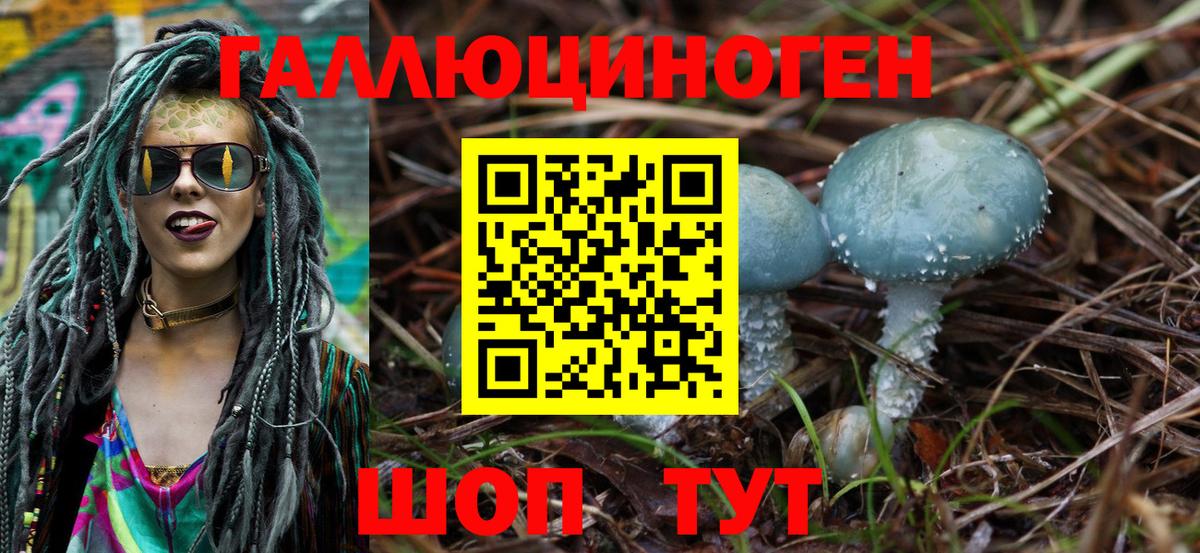 ГАШ Мытищи