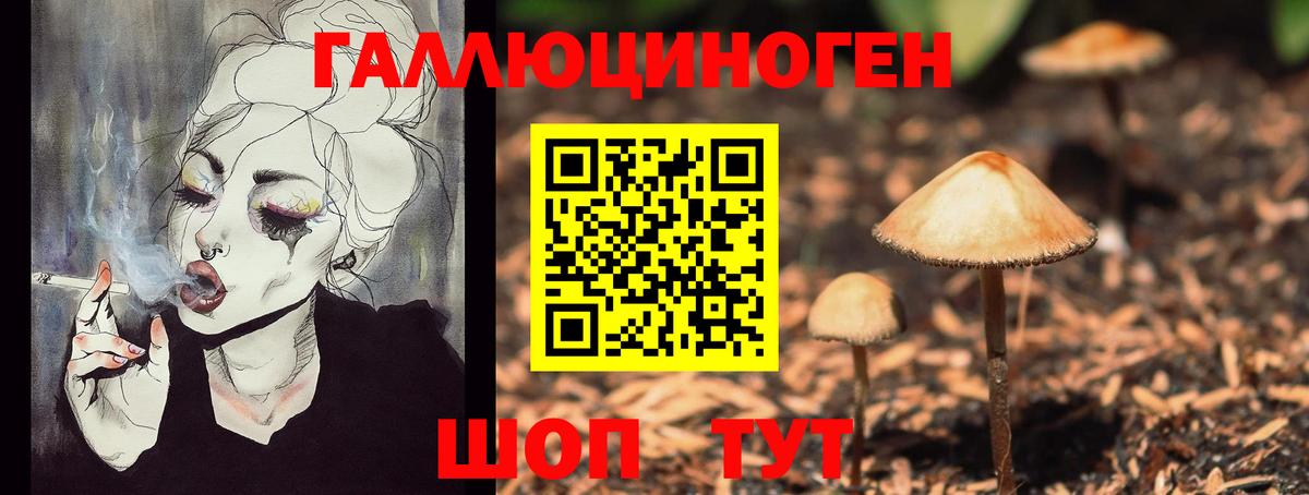Галлюциногенные грибы Magic Shrooms  продажа наркотиков  Мытищи  Вход с VPN  Галлюциногенные грибы ЛСД 